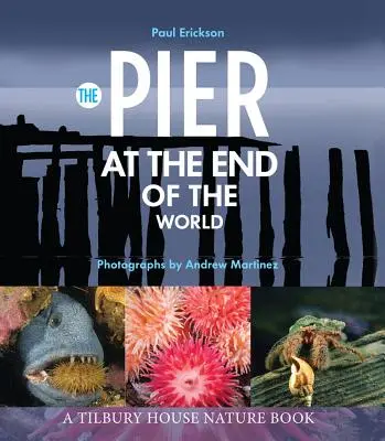Cheiul de la capătul lumii (The Pier at the End of the World) - The Pier at the End of the World