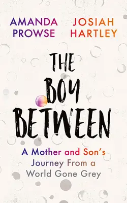 Băiatul dintre: Călătoria unei mame și a unui fiu dintr-o lume devenită gri - The Boy Between: A Mother and Son's Journey from a World Gone Grey