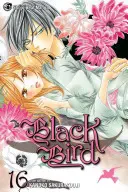 Black Bird, volumul 16 - Black Bird, Volume 16