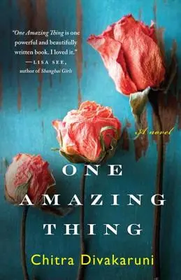 Un lucru uimitor - One Amazing Thing