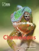 Cameleonii - Chameleons