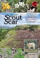 Despre Scout Scar - Privind într-un peisaj Cumbrian - About Scout Scar - Looking into a Cumbrian Landscape