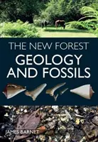 New Forest - Geologie și fosile - New Forest - Geology and Fossils