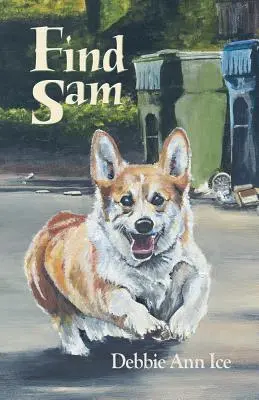 Găsiți-l pe Sam - Find Sam