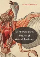 Dezbrăcat: Arta anatomiei animalelor - Stripped Bare: The Art of Animal Anatomy