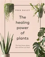 Puterea vindecătoare a plantelor - Eroul Plantele de casă care te iubesc înapoi - Healing Power of Plants - The Hero House Plants that Love You Back