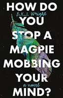 Cum oprești o popândăuică să-ți molesteze mintea? - How Do you Stop a Magpie Mobbing Your Mind?
