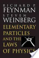 Particulele elementare și legile fizicii (Elementary Particles and the Laws of Physics) - Elementary Particles and the Laws of Physics