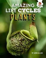 Plante - Cicluri de viață uimitoare - Plants - Amazing Life Cycles
