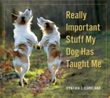 Lucruri foarte importante pe care le-a învățat câinele meu - Really Important Stuff My Dog Has Taught Me
