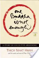 Un Buddha nu este suficient: O poveste a trezirii colective - One Buddha Is Not Enough: A Story of Collective Awakening