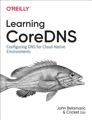 Învățarea Coredns: Configurarea DNS pentru mediile cloud native - Learning Coredns: Configuring DNS for Cloud Native Environments