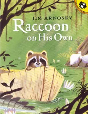 Raton pe cont propriu - Raccoon on His Own