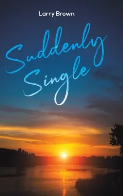 Deodată singur - Suddenly Single