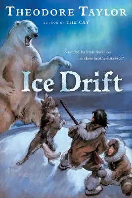 Deriva de gheață - Ice Drift