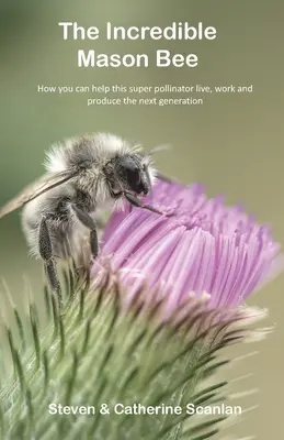 Incredibila Albină Mason - The Incredible Mason Bee