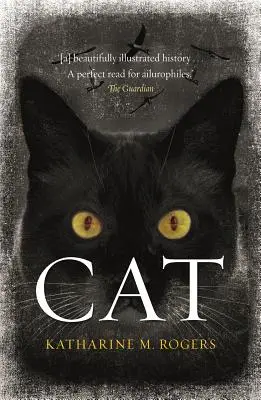 Pisica - Cat