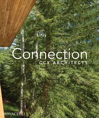 Conexiune: Ccy Architects - Connection: Ccy Architects