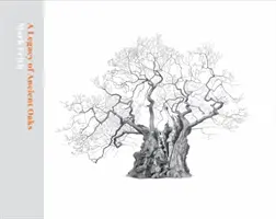 O moștenire de stejari antici - A Legacy of Ancient Oaks