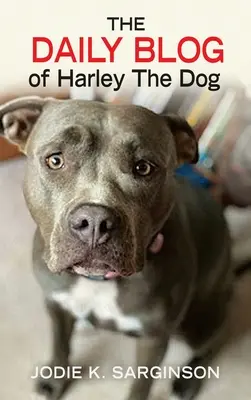 Blogul zilnic al câinelui Harley - The Daily Blog of Harley The Dog