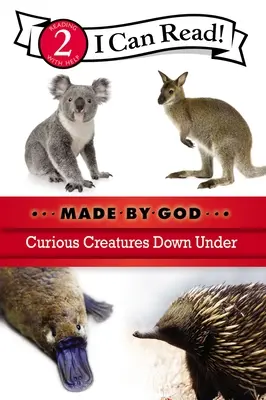 Curious Creatures Down Under: Nivelul 2 - Curious Creatures Down Under: Level 2