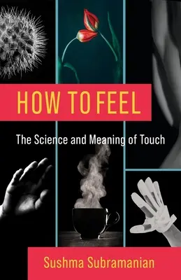 Cum să simțim: Știința și semnificația atingerii - How to Feel: The Science and Meaning of Touch