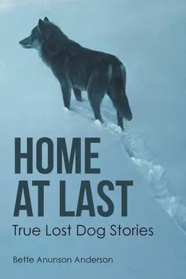 În sfârșit acasă: Povești adevărate cu câini pierduți - Home at last: True Lost Dog Stories