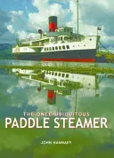 Odinioară omniprezentul vapor cu palete - Once-Ubiquitous Paddle Steamer