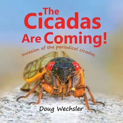 Vin cicadele! Invazia cicadelor periodice! - The Cicadas Are Coming!: Invasion of the Periodical Cicadas!