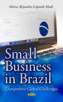 Afaceri mici în Brazilia - Provocări globale competitive - Small Business in Brazil - Competitive Global Challenges