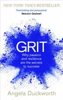 Grit - De ce pasiunea și reziliența sunt secretele succesului - Grit - Why passion and resilience are the secrets to success