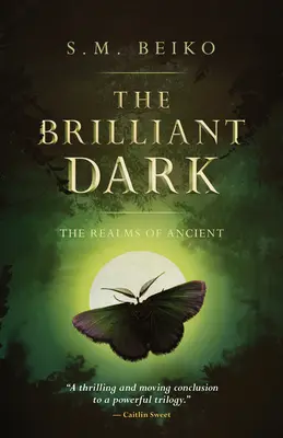 Întunericul strălucitor: Tărâmurile Anticilor, Cartea 3 - The Brilliant Dark: The Realms of Ancient, Book 3