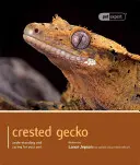 Gecko cu creastă: Înțelegerea și îngrijirea animalului dumneavoastră de companie - Crested Gecko: Understanding and Caring for Your Pet