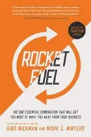 Rocket Fuel: Combinația esențială care vă va aduce mai mult din ceea ce vă doriți de la afacerea dvs. - Rocket Fuel: The One Essential Combination That Will Get You More of What You Want from Your Business