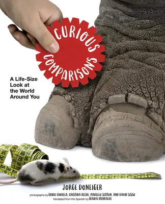 Curioase comparații: O privire în mărime naturală asupra lumii din jurul tău - Curious Comparisons: A Life-Size Look at the World Around You