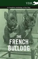 Bulldog-ul francez - O antologie completă a câinelui - The French Bulldog - A Complete Anthology of the Dog