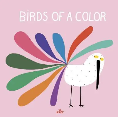 Păsări de o culoare - Birds of a Color
