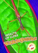 Bețe de mers pe jos - Walkingsticks