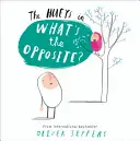 Ce este opusul? - What's the Opposite?