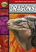 Citire rapidă: Dragons (Etapa 2, Nivelul 2B) - Rapid Reading: Dragons (Stage 2, Level 2B)