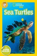 Țestoase de mare - Sea Turtles