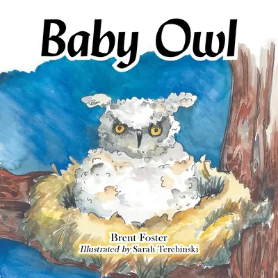 Pui de bufniță - Baby Owl