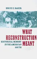 Ce a însemnat Reconstrucția: Memorie istorică în sudul Americii - What Reconstruction Meant: Historical Memory in the American South