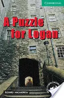 Un puzzle pentru Logan Nivelul 3 - A Puzzle for Logan Level 3