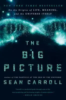 The Big Picture: Despre originile vieții, ale sensului și ale Universului însuși (On the Origins of Life, Meaning, and the Universe Itself) - The Big Picture: On the Origins of Life, Meaning, and the Universe Itself