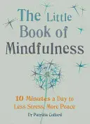 Mica carte a atenției: 10 minute pe zi pentru mai puțin stres, mai multă pace - Little Book of Mindfulness: 10 Minutes a Day to Less Stress, More Peace