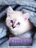 Pisicuțe - Kittens