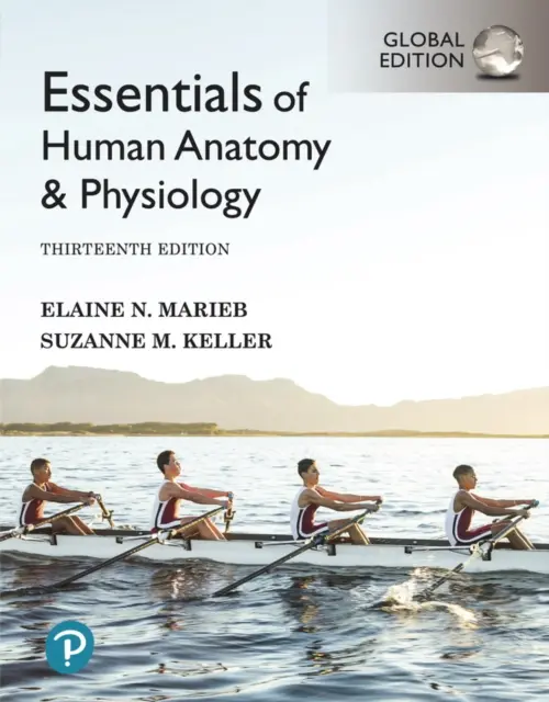 Esențial de anatomie și fiziologie umană [ediție globală] - Essentials of Human Anatomy & Physiology [Global Edition]
