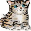 Pisicuță de buzunar - Pocket Kitten