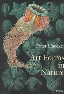 Forme de artă în natură: Tipăriturile lui Ernst Haeckel - Art Forms in Nature: The Prints of Ernst Haeckel